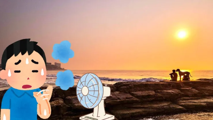 Ola de calor