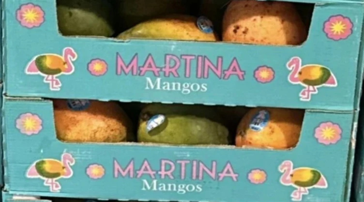 ¡Alerta por mangos! Retiran cientos de cajas por salmonela en estas ciudades.jpg