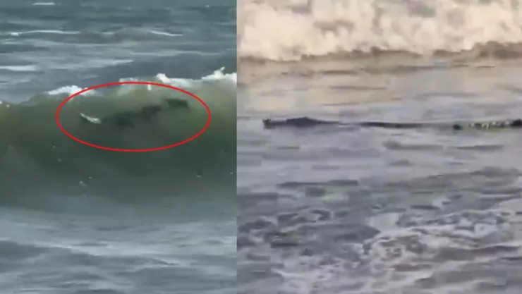 1280 x 720 px (38).jpg