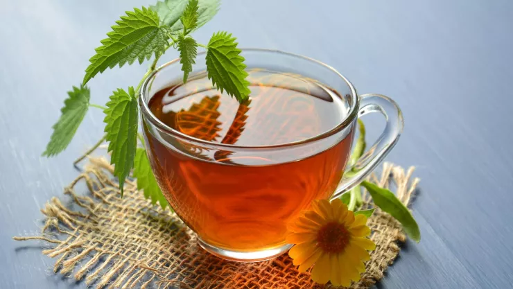 Té de ortiga: ¿Cuáles son los beneficios en la salud y cómo prepararlo?