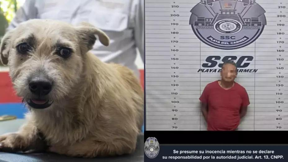 Detienen-y-golpean-a-hombre-por-abusar-sexualmente-de-una-perrita-en-Quintana-Roo