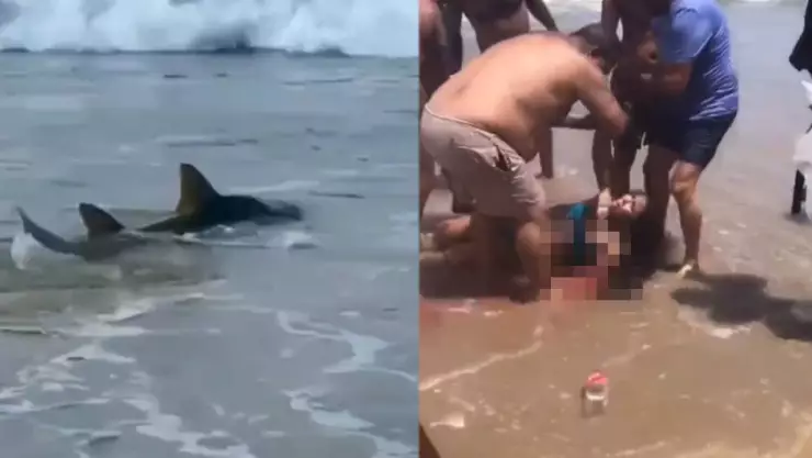 VIDEO: Tiburón atacó a una adolescente y le arrancó un brazo