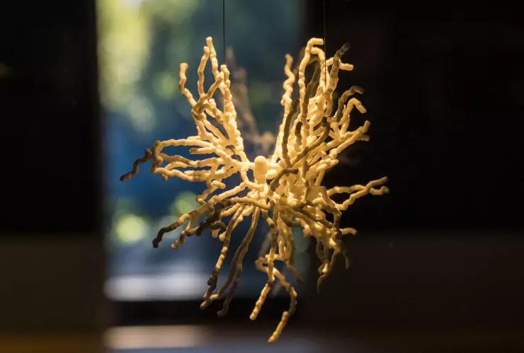 “Brain – wider than the sky” Interactive Exhibition