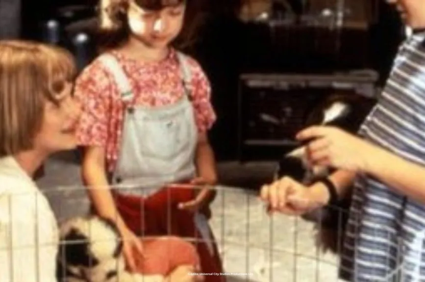¿Qué pasó con la actriz Sarah Rose Karr? La recordarás por el personaje de Emily Newton en Beethoven, entérate dónde está ahora.