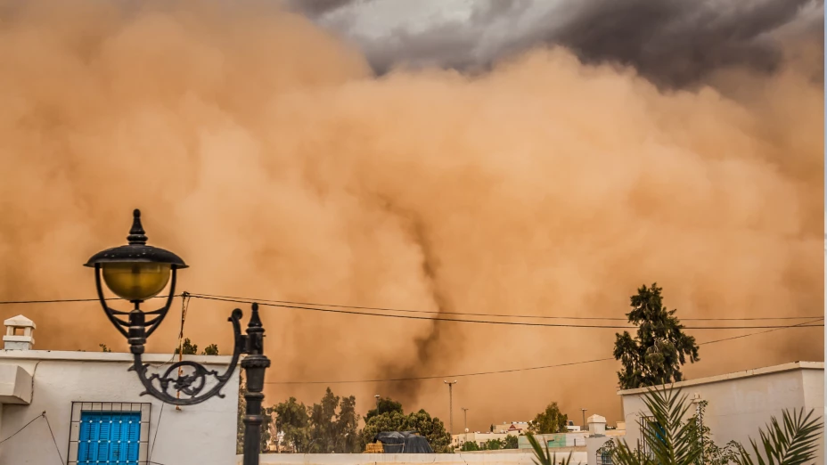 Diseño sin título.png