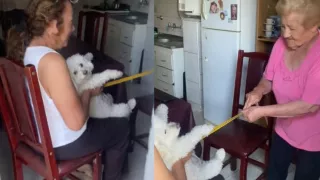 abuelita cura de empacho perrito video.jpg
