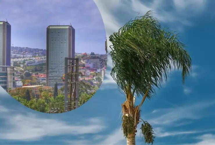 ¿A qué hora inician los vientos de Santa Ana en Tijuana el jueves 27 de febrero de 2025?