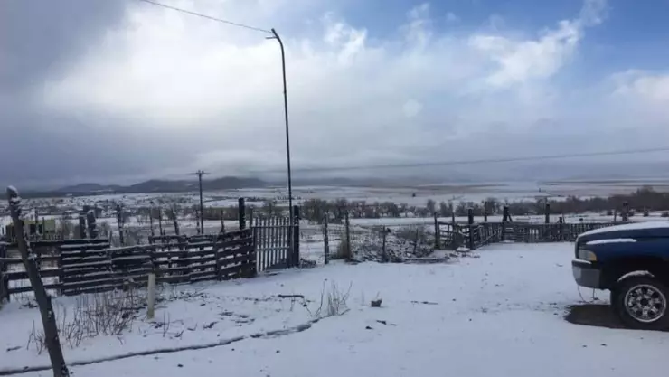 nieve chihuahua 2020.jpg