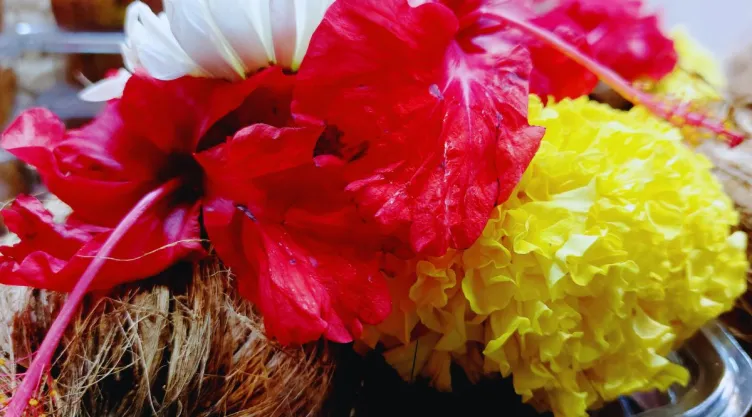 Qué flores puedes combinar con el cempasúchil para decorar una ofrenda