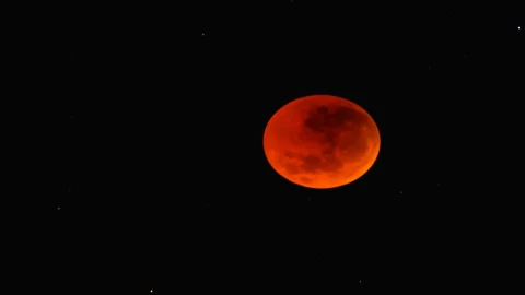 Revelan posibles afectaciones de la Luna de sangre durante eclipse de hoy 13 de marzo de 2025.