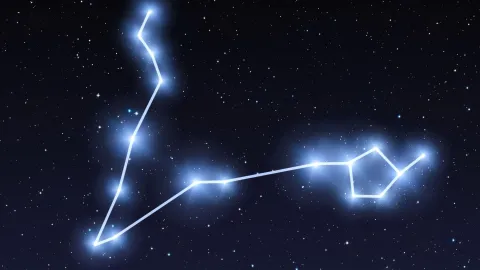El signo del Zodiaco: Piscis