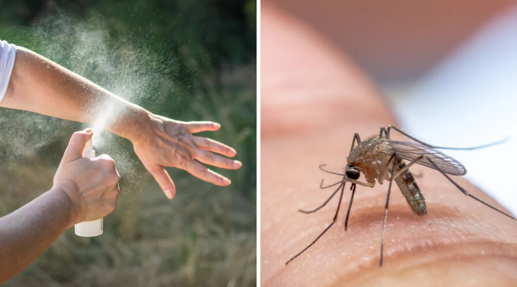 Este ingrediente secreto es la solución a las picaduras de mosquitos