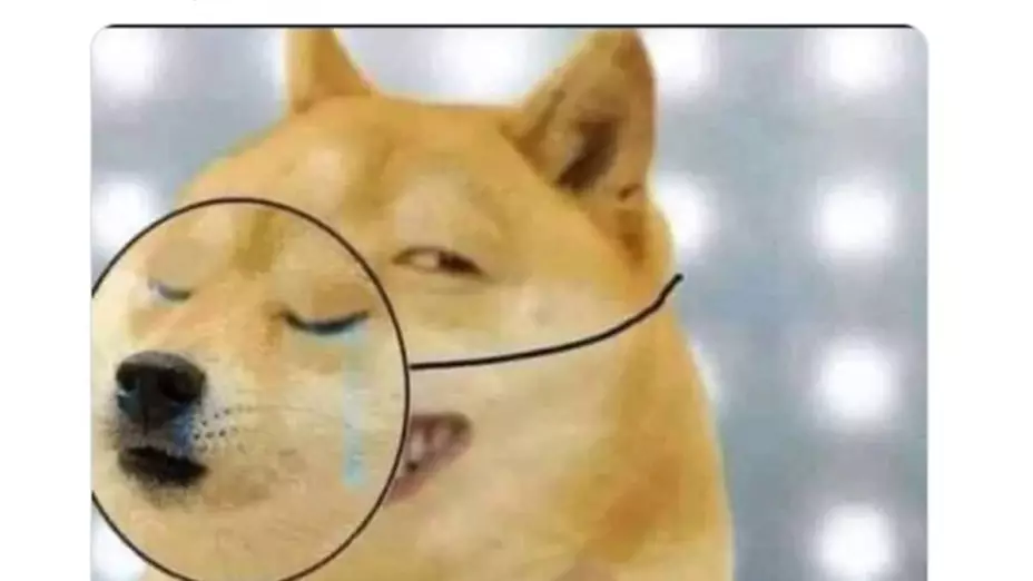 acusan a Mafe Walker por llamar a Ovnis en Tijuana  3