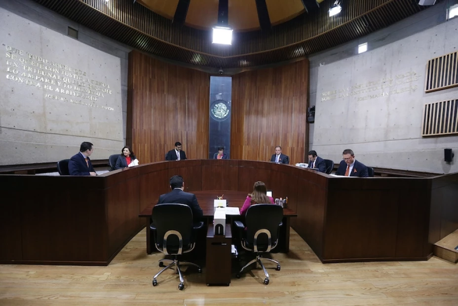 Tribunal electoral revocación