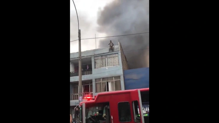 Hombre rescata a 25 perritos del incendio en una casa