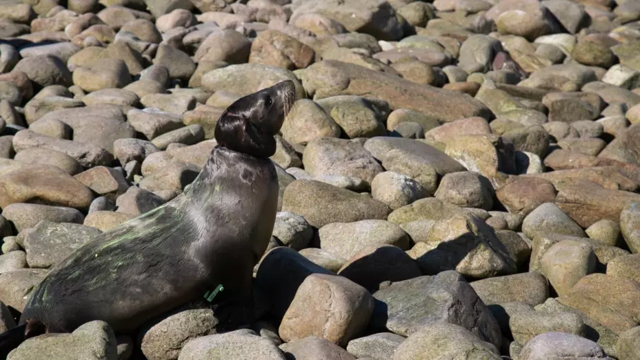 WhatsApp Image 2026-03-12 at 12..jpg