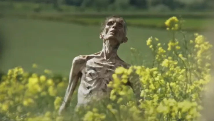 ¿Y Cillian Murphy? ¿Se convirtió en zombi?