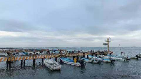 ¡Continúan el frío y las heladas! Así estará el clima en el estado de Veracruz hoy 3 de febrero de 2026