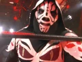 Lucha Fighter