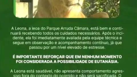 Brasil: Zoológico explica qué pasará con la leona que mató a un joven al interior de su jaula, ¿aplicarán eutanasia?