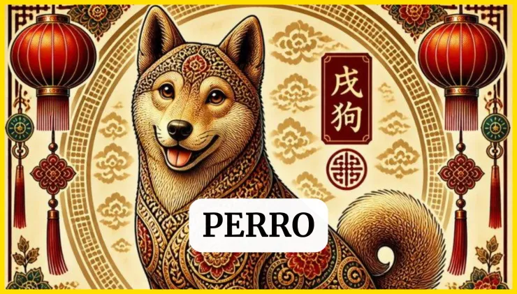 Horóscopo chino