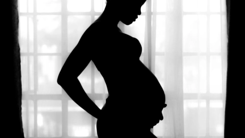 Gestación-subrogada-y-la-vulnerabilidad-de-las-mujeres-gestantes-en-México