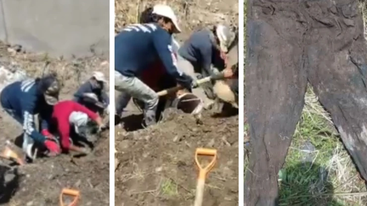 Guanajuato fosa clandestina madres