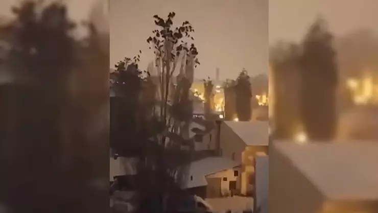 Previo al terremoto en Turquía, las aves se comportaron extraño