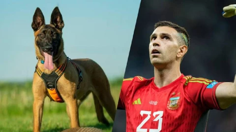 Campeón del mundo compra perro de 500 mil pesos