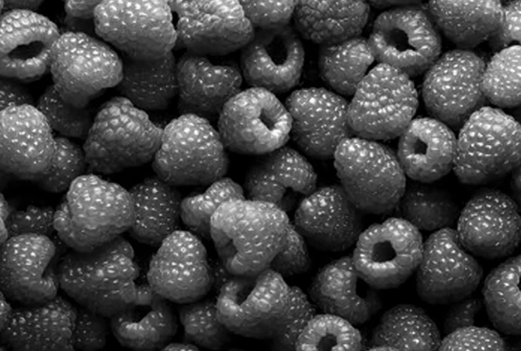 Frambuesas envenenadas