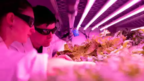 luz ultravioleta reducir niveles covid-19.jpg