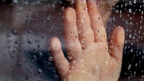 Regresa la lluvia a Jalisco: ¿Cuál es la probabilidad de una tormenta hoy 1 de marzo de 2026?