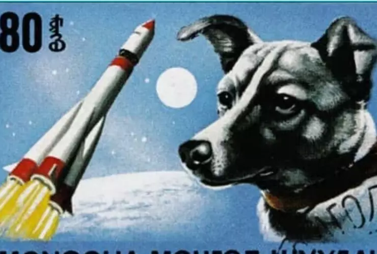 Laika, órbita, historia 2.jpg