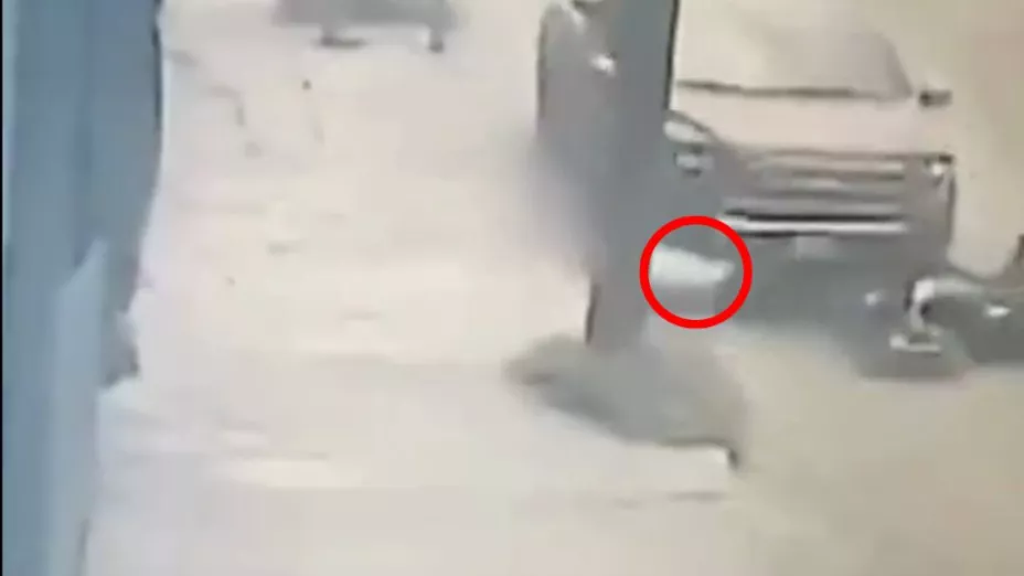 Ladrones en Nuevo León son atropellados