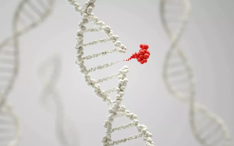 Cáncer de mama metastásico Flow unnamed .jpg