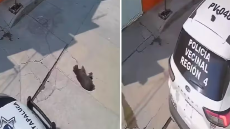 Captura de pantalla 2025-01-25 121352.png