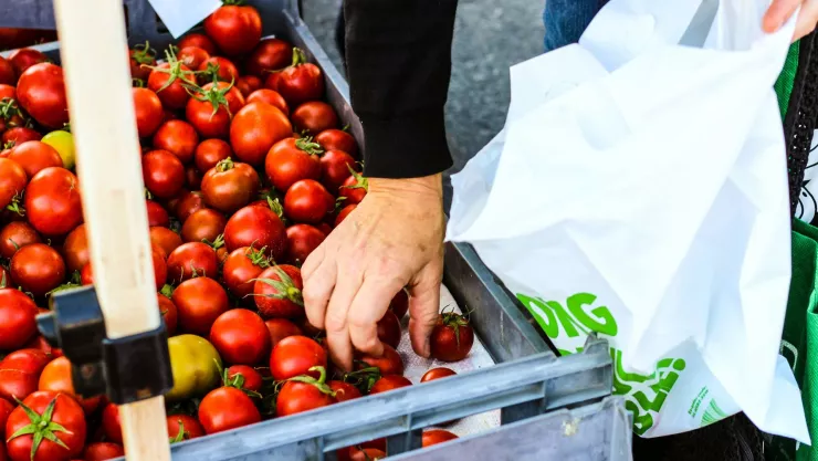 ¿Cómo afecta la inflación en Guanajuato?