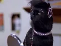 salem-saberhagen-sabrina-la-bruja-adolescente