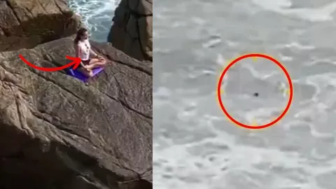 Muere actriz Rusa en Tailandia ¿Quién fue Kamilla Belyatskaya?(VIDEO)