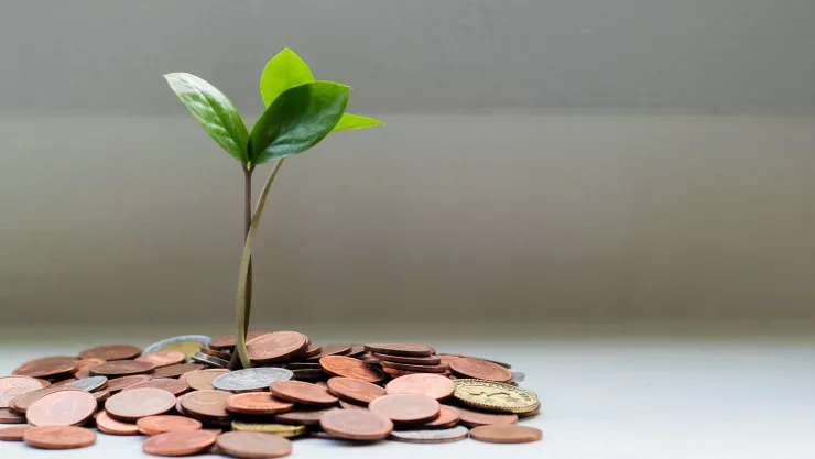 A esta edad puedes retirar el dinero de tu Afore
