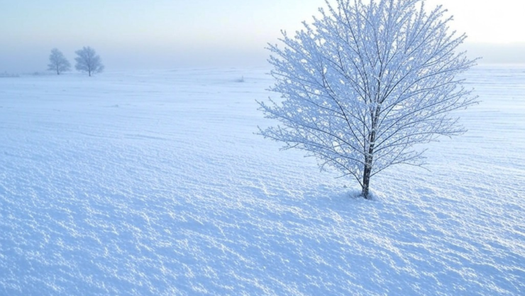 Clima en Guanajuato hoy viernes 27 de diciembre de 2024 pronóstico por municipios.png