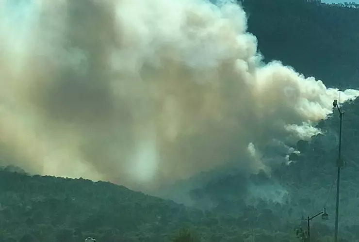 Incendio forestal arrasa un cerro en Libres, Puebla hoy 14 de abril de 2025