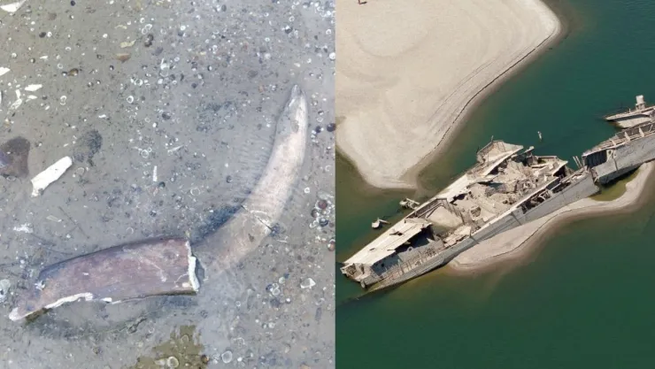 Sequía deja al descubierto restos históricos en el río Danubio