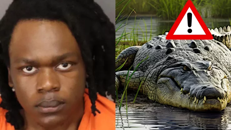 ¡IMPACTANTE CRIMEN! Hombre asesina a su esposa y arroja a su hijo de 2 años a los cocodrilos en Florida; autoridades solicitan la pena de muerte