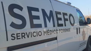 Semefo