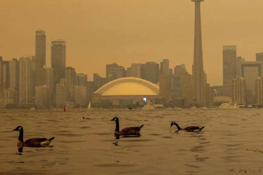 Incendios en Canadá ponen en riesgo a personas y animales