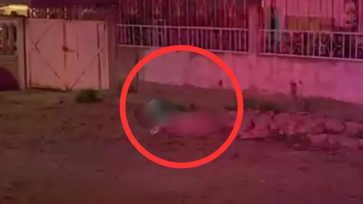 Abandonan cuerpo de un hombre en vía pública de la colonia Salvatierra, en Tijuana