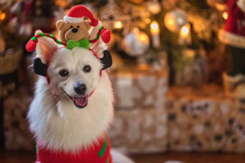 Bye Bye My Friend.jpg