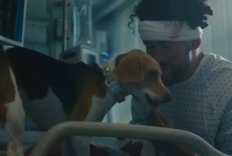 bad bunny dedica video perrito