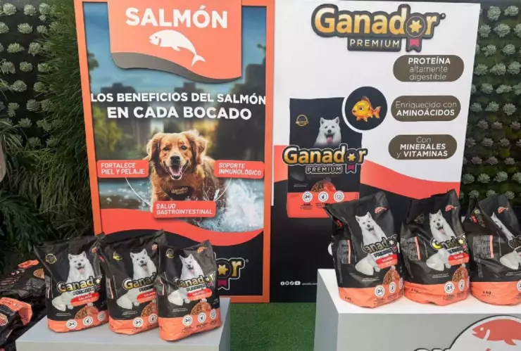 Ganador comida perro